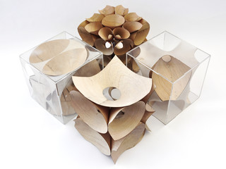Rendering of a series of studies using bent wood as a design material