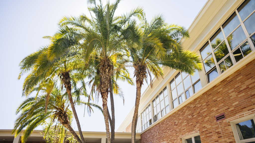 UCLA Architecture and Urban Design Building