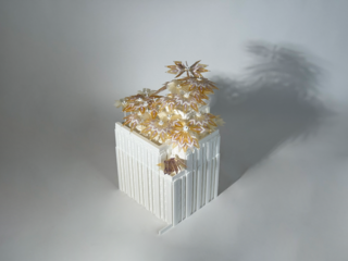 Image of Vivila Leigh's "Kinepies"