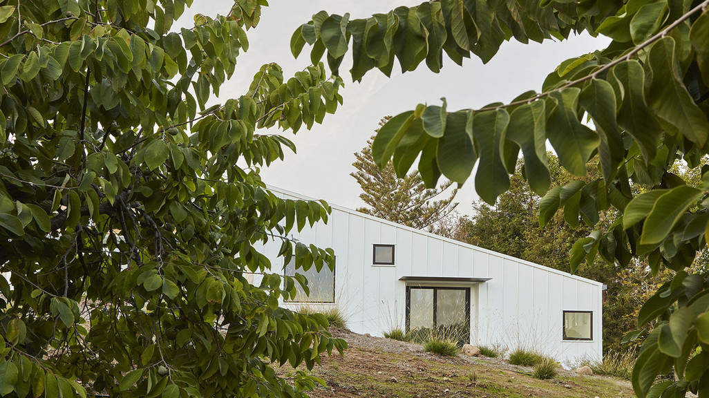 Image of a hillside residence surrounded by trees