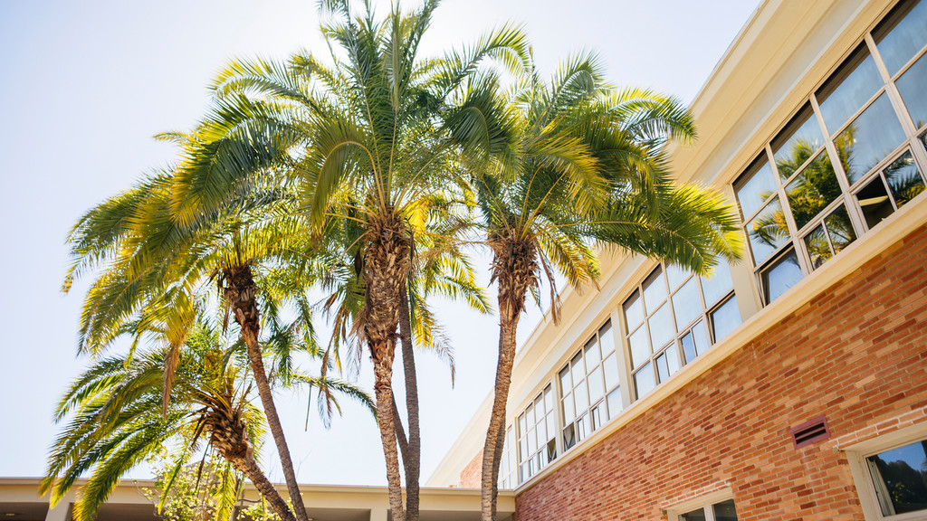 Image of palm trees in front of Perloff Hall, a large red-brick building