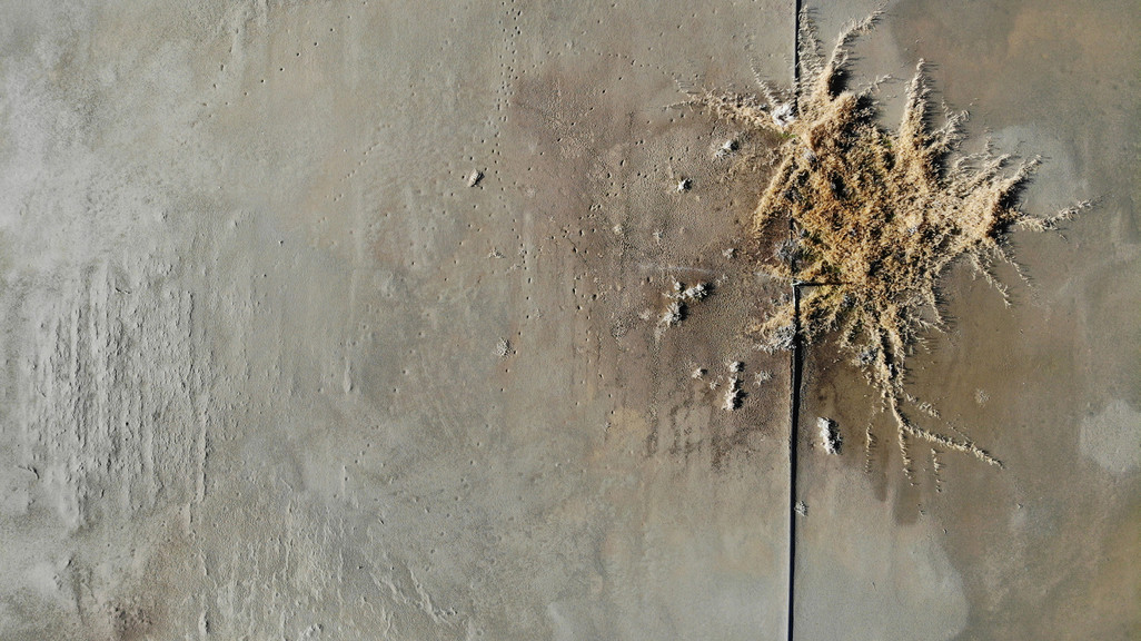 Aerial photograph of dried lake bed with a dark black streak in the right side of the image and a spider-like growth of algae spreading across the streak in all directions.