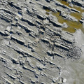 Aerial photograph of dried lake bed showing short ridges produced by tilling the surface of the lake. In the top right of the image green liquid pools between the tilled hills of the lake bed. Largely white and grey in pigmentation.