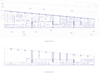 Perspective section