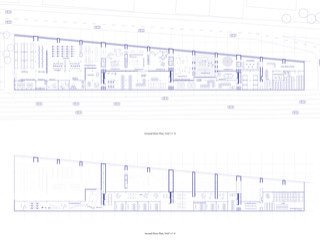 Perspective section
